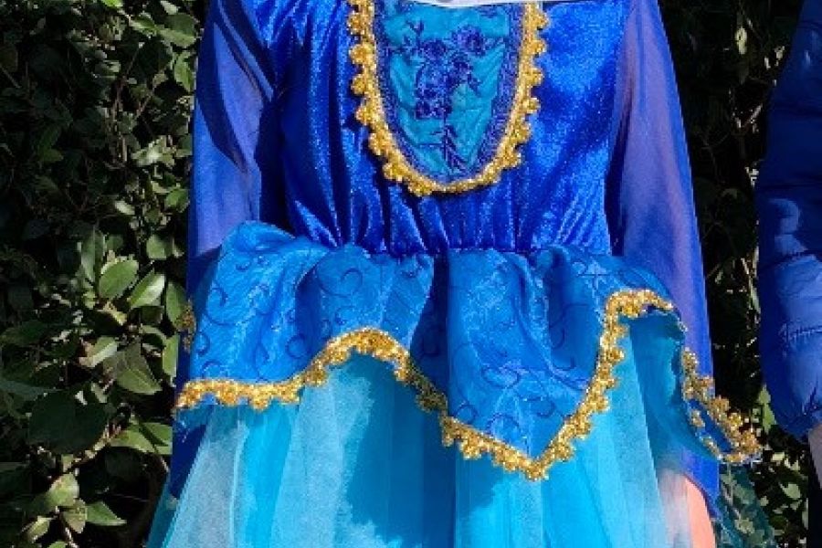 Prinzessin Kleid für Fasching - Bild 1
