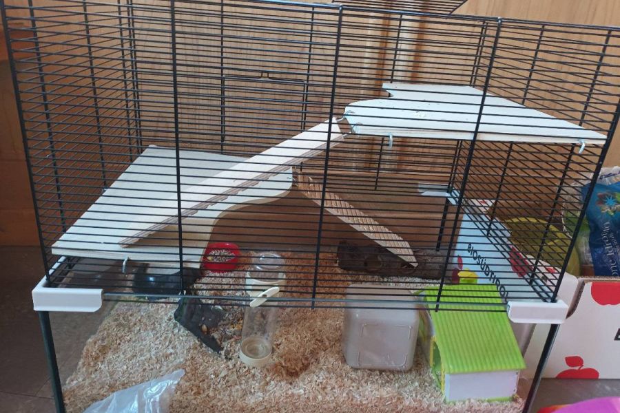 Hamsterkiste mit neuen Rad und Zubehör - Bild 1