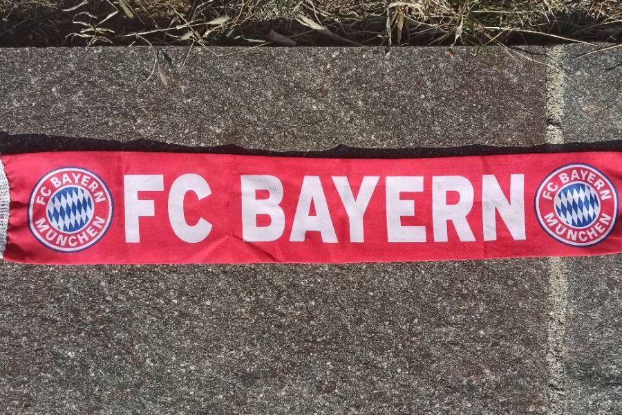 FC Bayern- Schal und Fahne zu verschenken - Bild 2