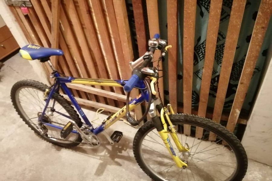 Mountain-bike - Bild 3