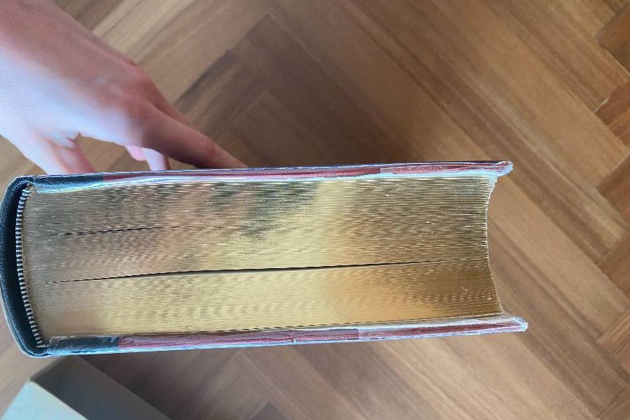 BROCKHAUS Enzyklopädie 17. Auflage in zwanzig Bänden - Bild 4
