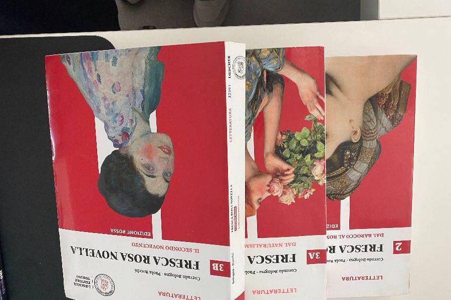 Bücher für Kunstgymnasium (Gröden) von der 3ten bis zur 5ten Klasse - Bild 3