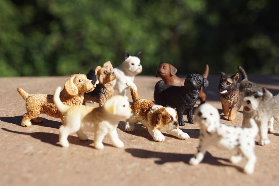 Schleich Tiere Hunde - Bild 2