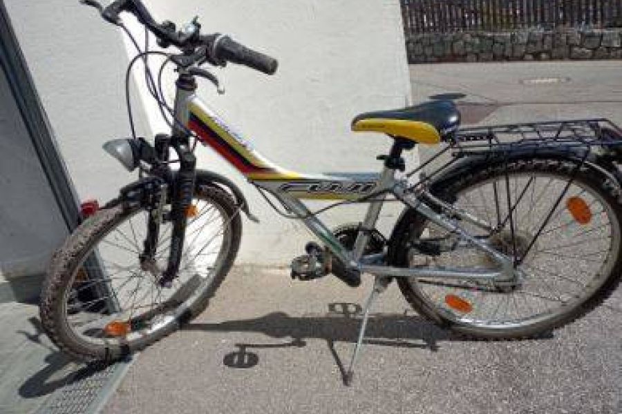 Farhrad Citybike - Bild 1