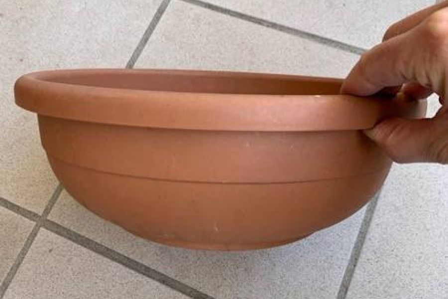 Pflanzenschalen - Bild 1