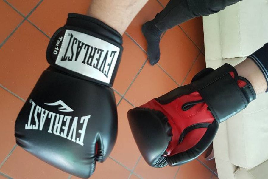 Boxsack und Boxhanschuhe - Bild 2
