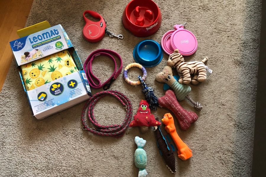 Hundezubehör - Bild 1