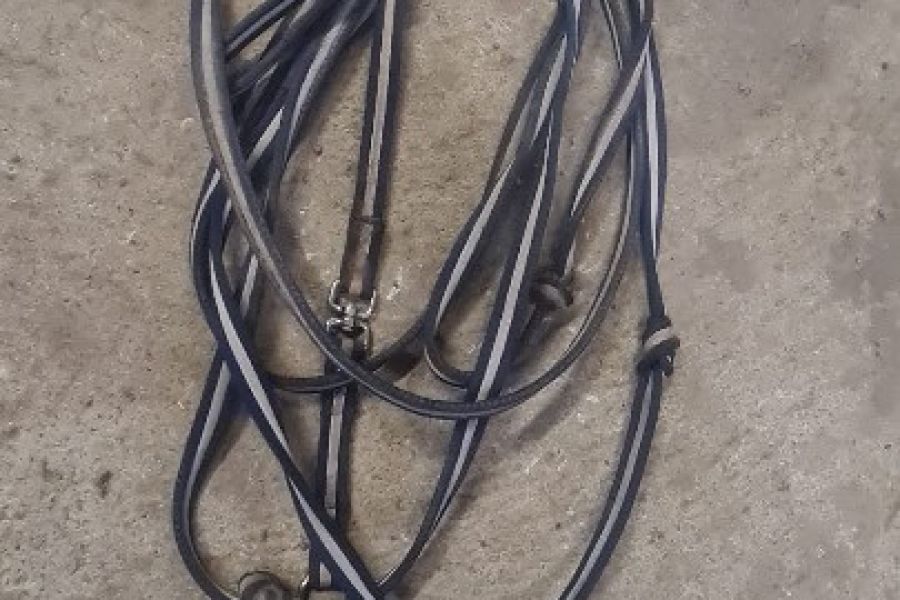 Pferdelonge - Bild 1