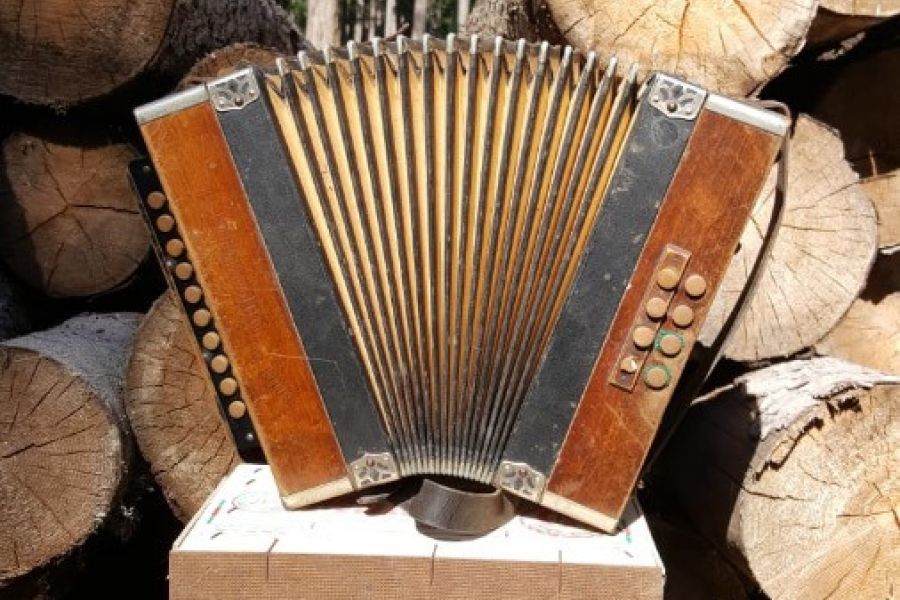 Antike Ziehharmonika über 100 Jahre alt - Bild 1