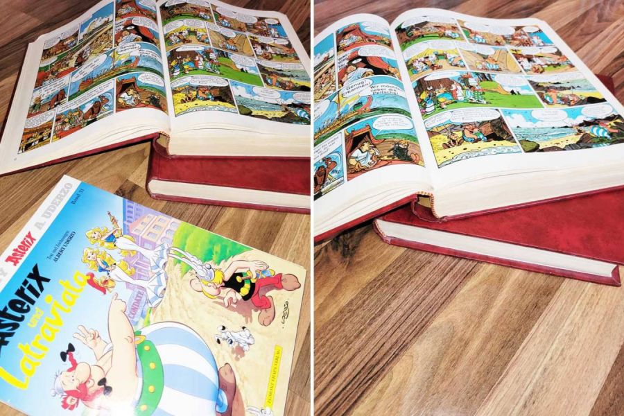 Asterix & Obelix - Bild 1