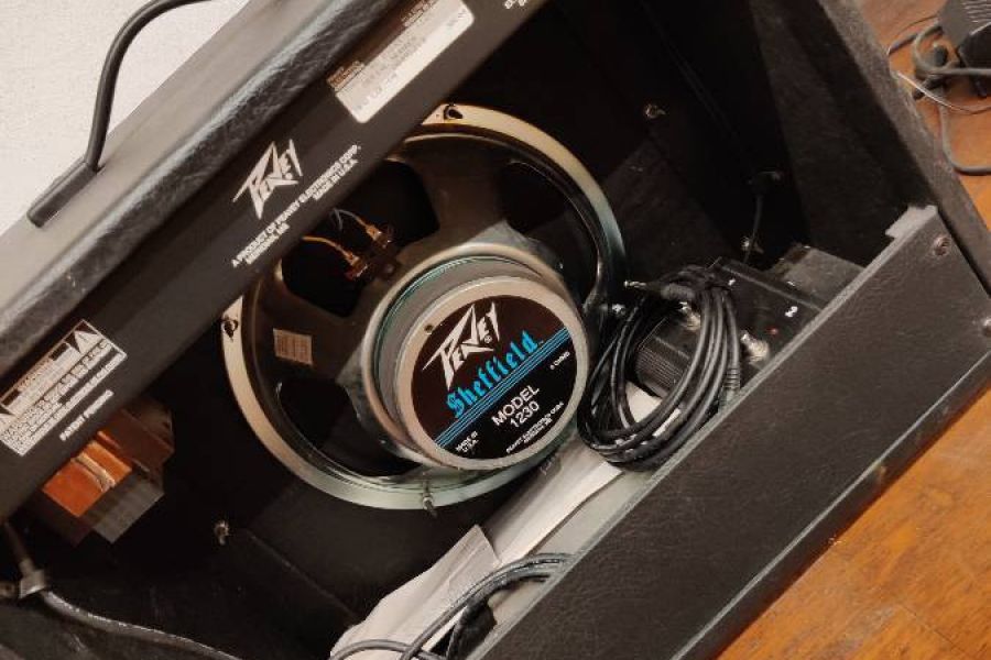 Peavey Express 112 - 200 W - TransTube Technology - Bild 2