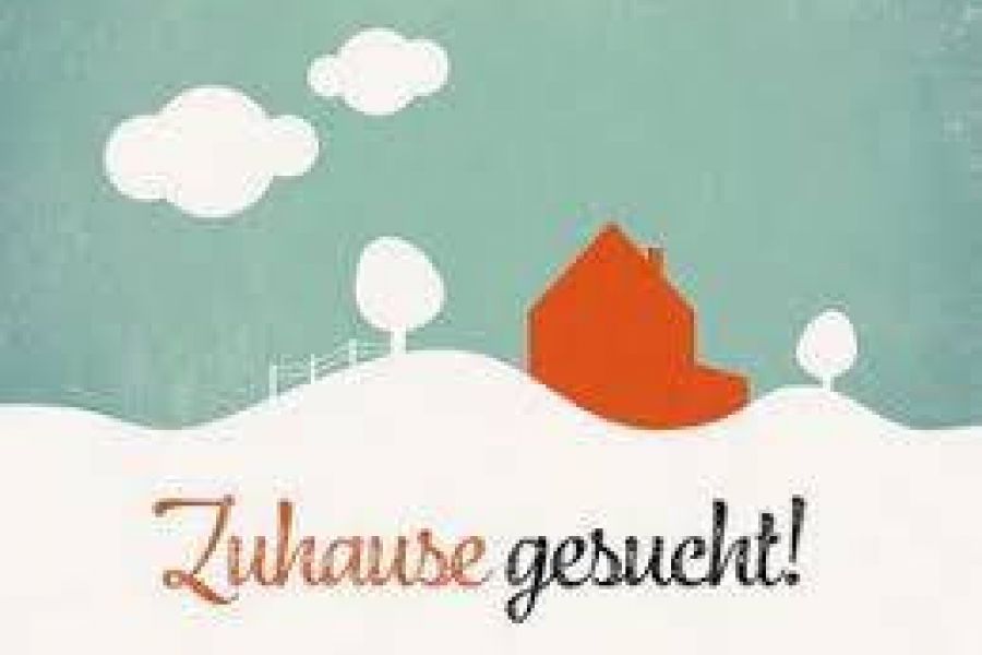 Suche Wohnung - Bild 1