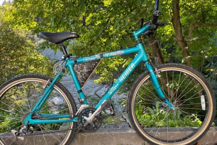 Mountainbike für Herren zu verkaufen - Bild 1