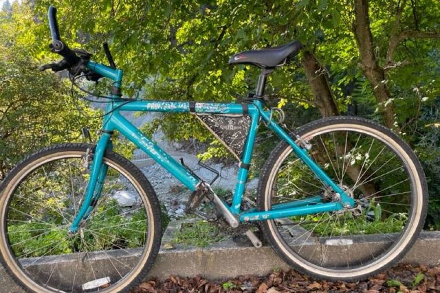 Mountainbike für Herren zu verkaufen - Bild 2