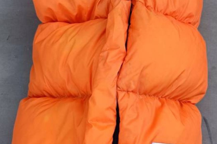 Mucki orange mit Bärmotiv - Bild 1