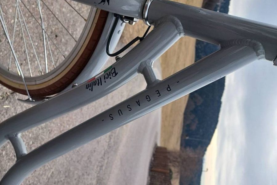 Verkaufe Fahrrad Pegasus Citybike neu - Bild 3