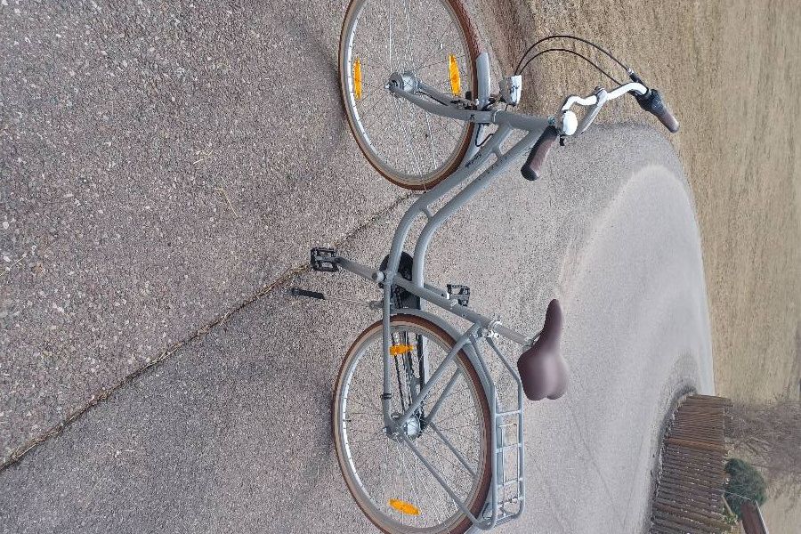 Verkaufe Fahrrad Pegasus Citybike neu - Bild 4