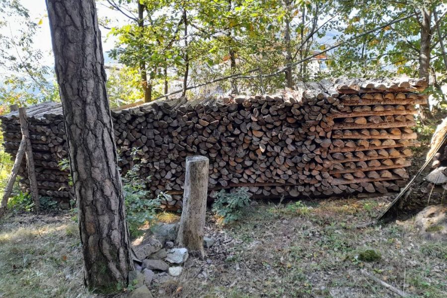 Brennholz gespalten - Bild 3