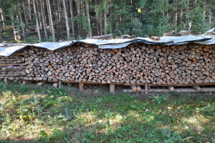 Brennholz gespalten - Bild 4