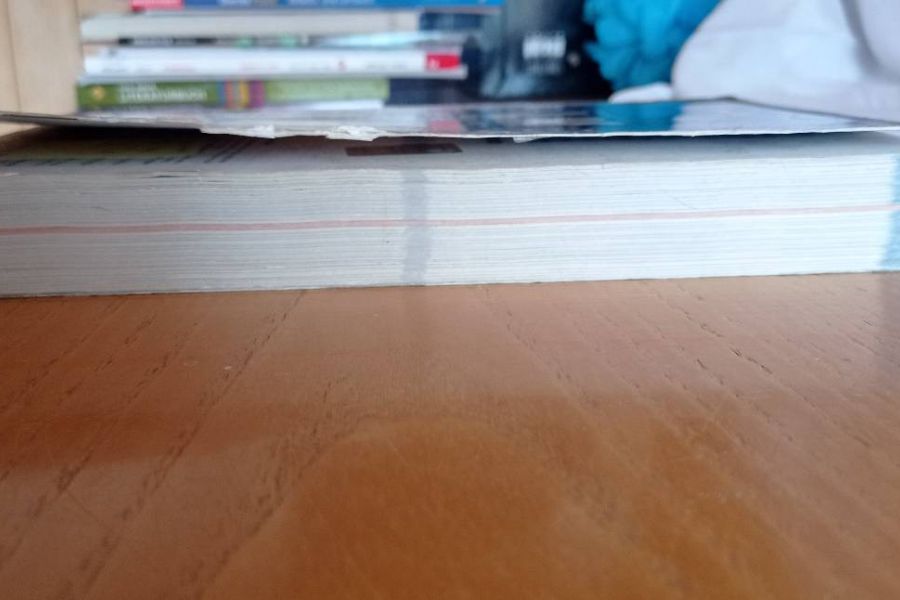 Letteratura modulare, dalle origini al 900 - Marta Sambugar - Bild 2