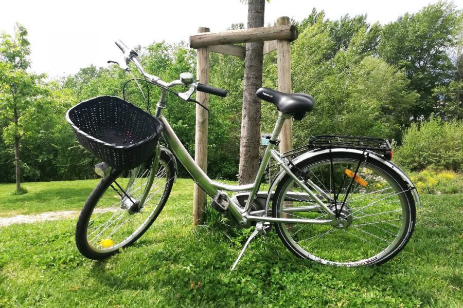 tolles Fahrrad / bicicletta - Bild 3