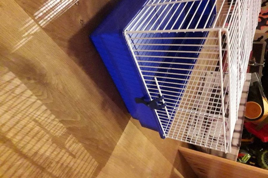 Hamster Käfig zu verkaufen - Bild 1