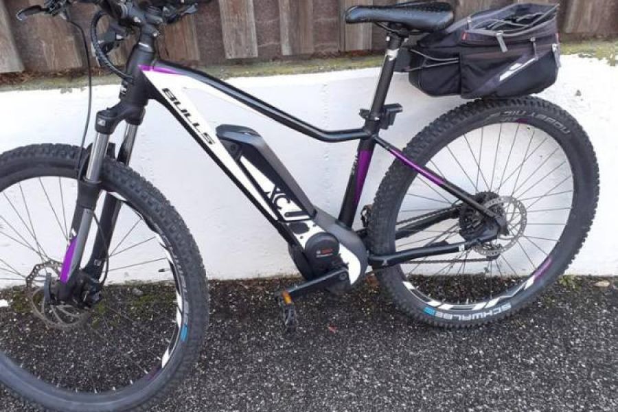 Damen E Bike - Bild 1
