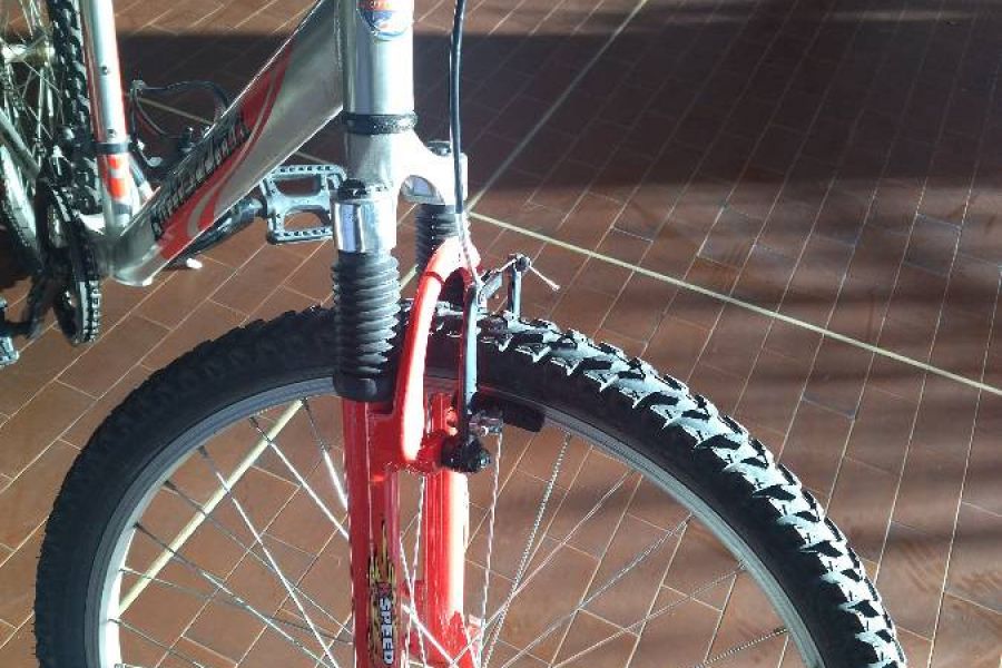 Fahrrad - Trekking/Mountain bike - Bild 2