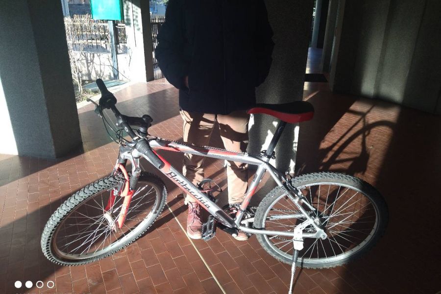Fahrrad - Trekking/Mountain bike - Bild 4