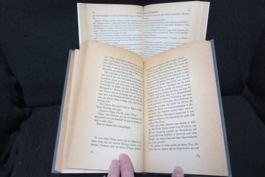 Bücher-Schatten im Schnee  +  30 Jahre thriller jubiläums Lesebuch - Bild 2