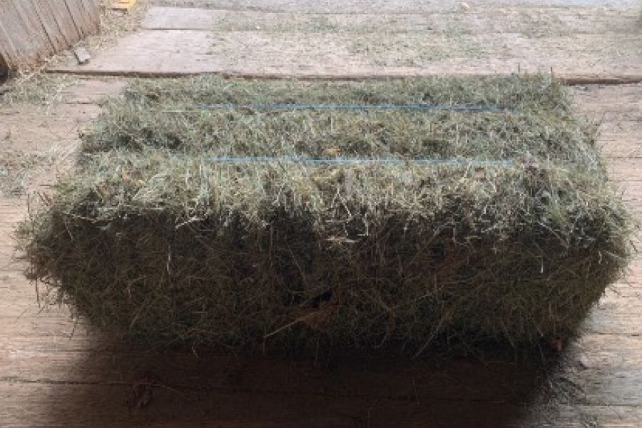 Heuballen und Grummetballen zu verkaufen - Bild 1