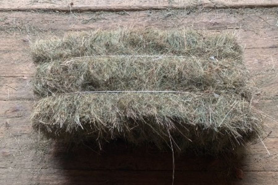 Heuballen und Grummetballen zu verkaufen - Bild 2