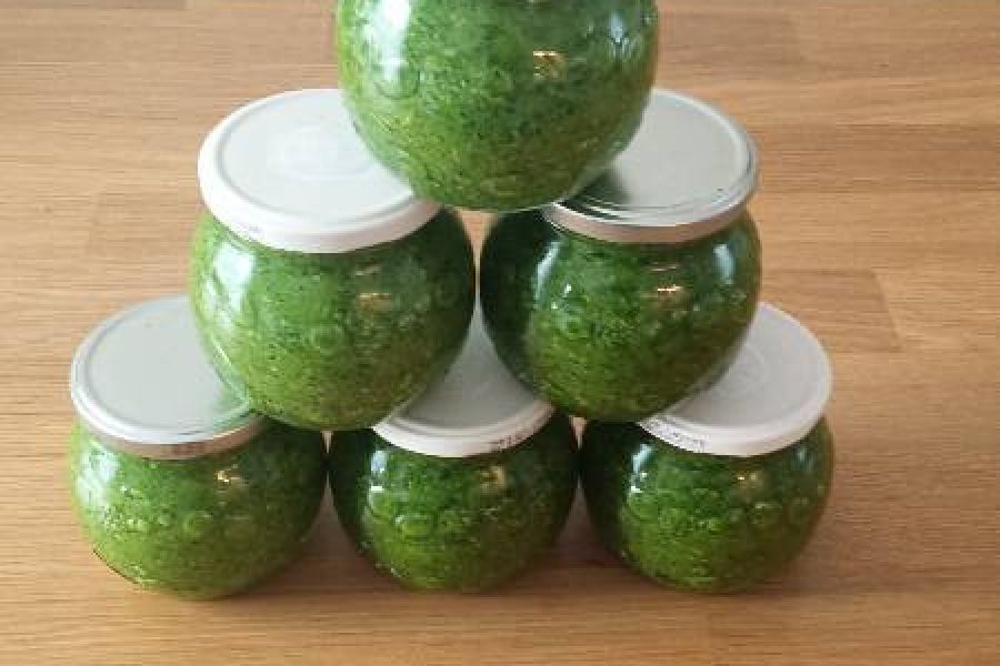 Bio Bärlauchpesto - Bild 1