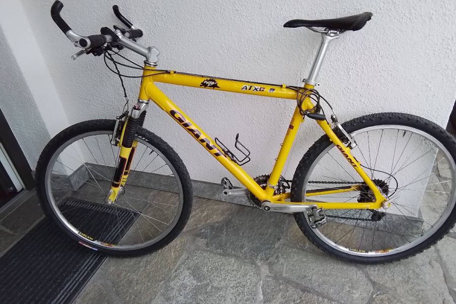 Mountainbike Giant - Bild 1