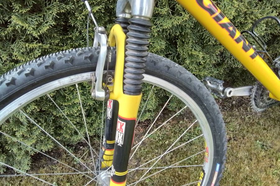 Mountainbike Giant - Bild 3