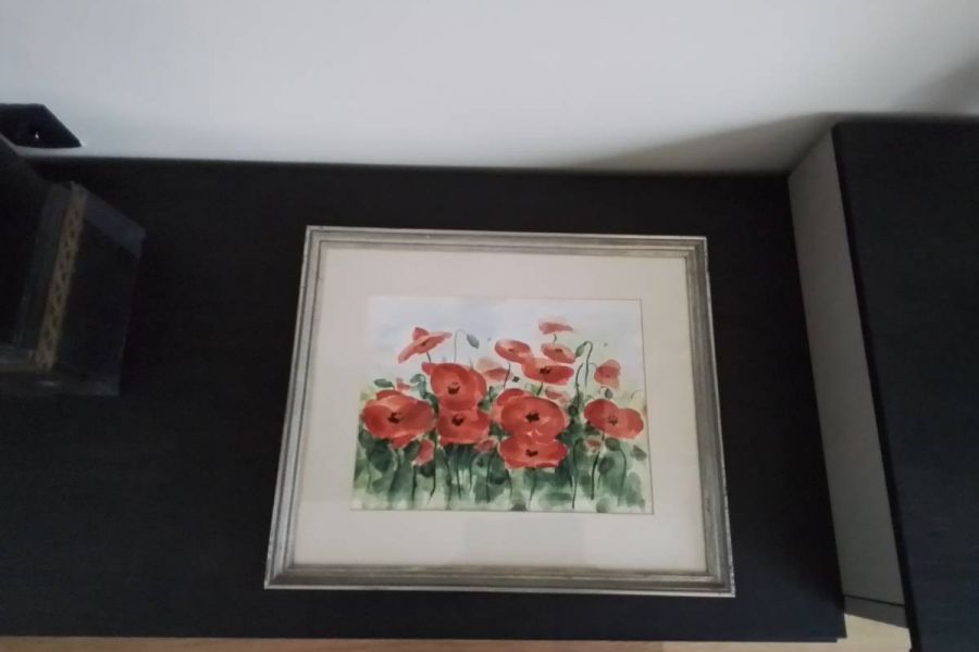 Aquarell Mohnblumen auf Pappe - Bild 1