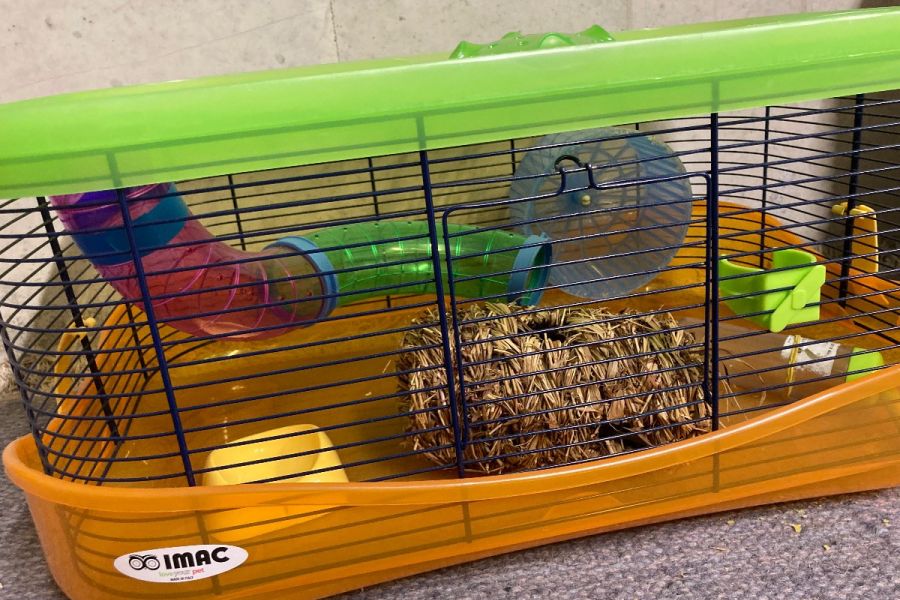 Hamsterkäfig mit Zubehör - Bild 2