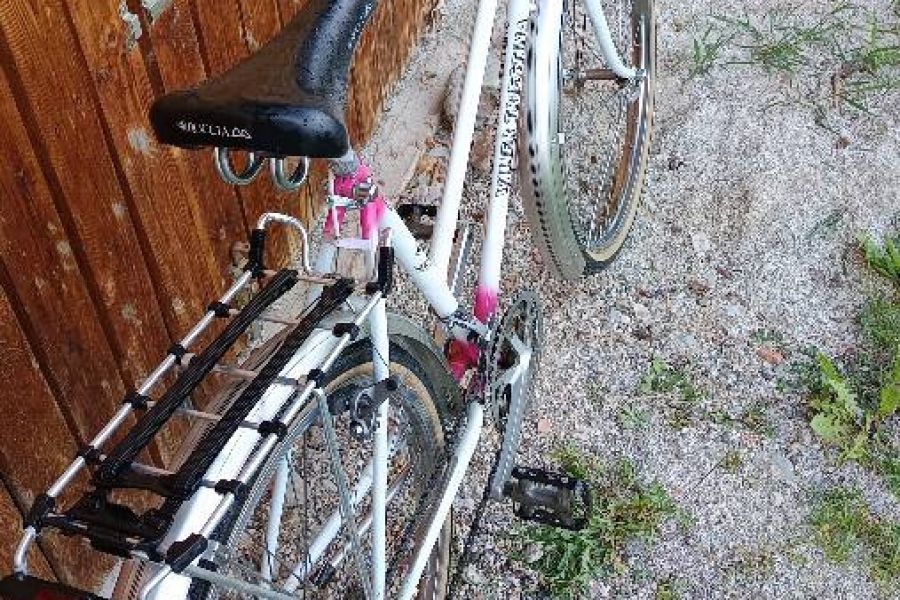 Damen Mountainbike - Bild 1