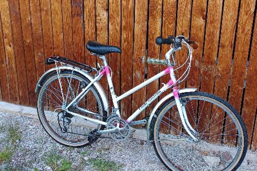 Damen Mountainbike - Bild 2