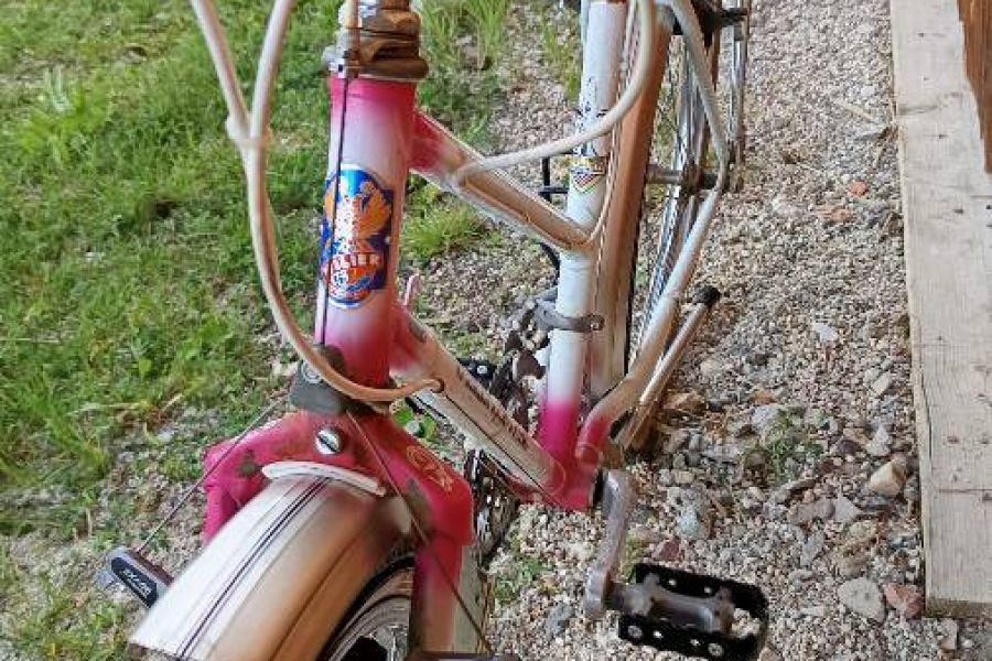 Damen Mountainbike - Bild 4