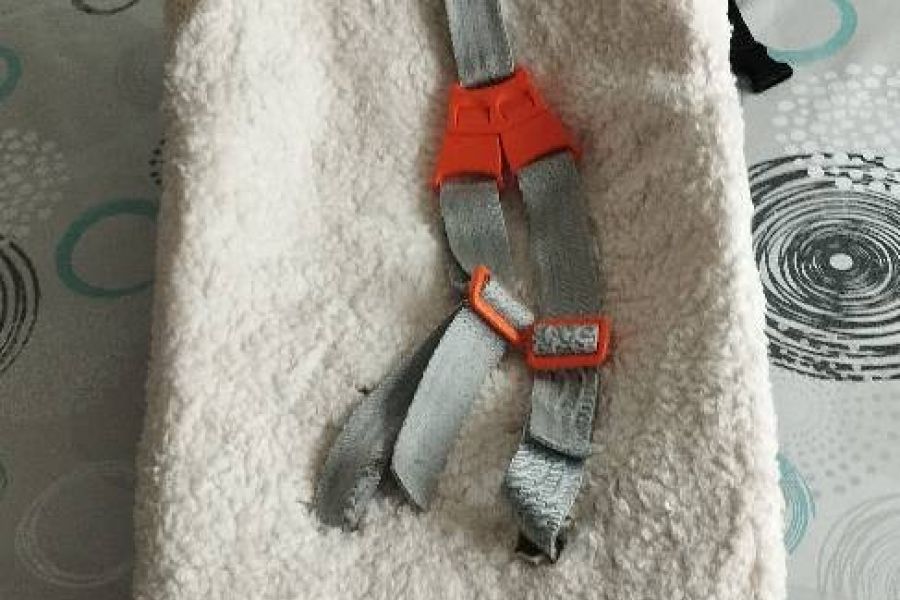 Babyschale für Fahrradanhänger von Weber - Bild 2
