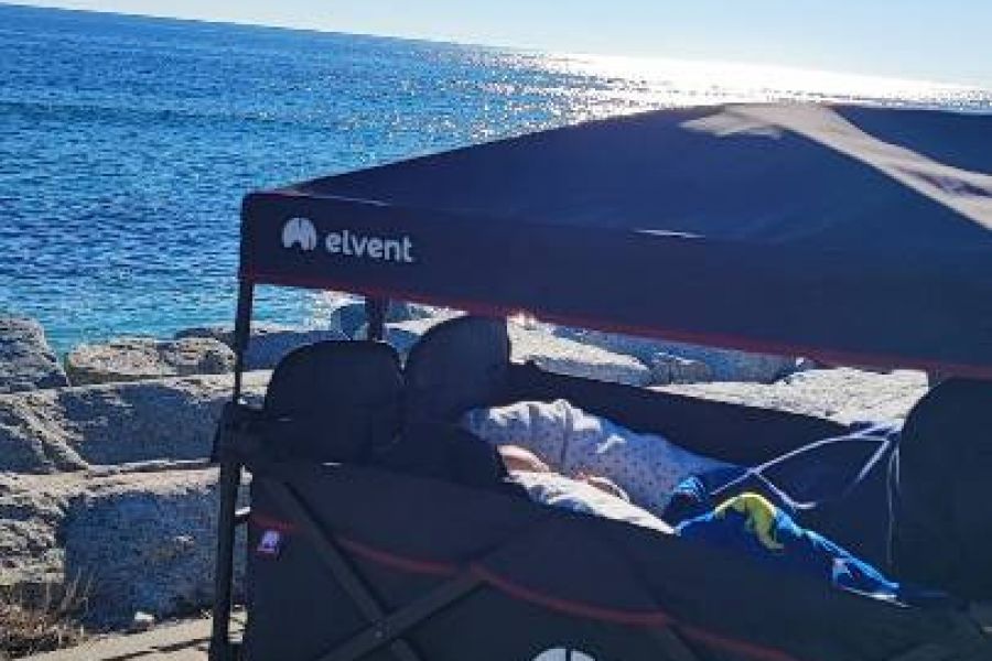 Elvent Bollerwagen - Bild 1