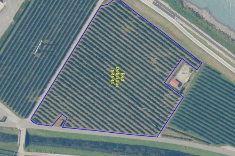 Obstwiese in Branzoll zu verkaufen - Bild 2