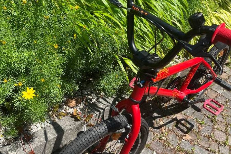 BMX Rad for kids 🚲 - Bild 5
