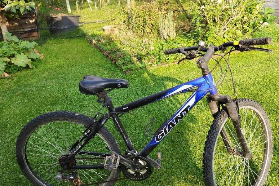 Fahrrad zu Verkaufen - Bild 1