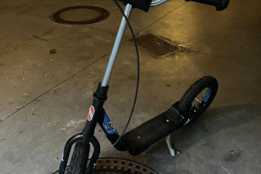 Roller mit Gummireifen - Bild 1
