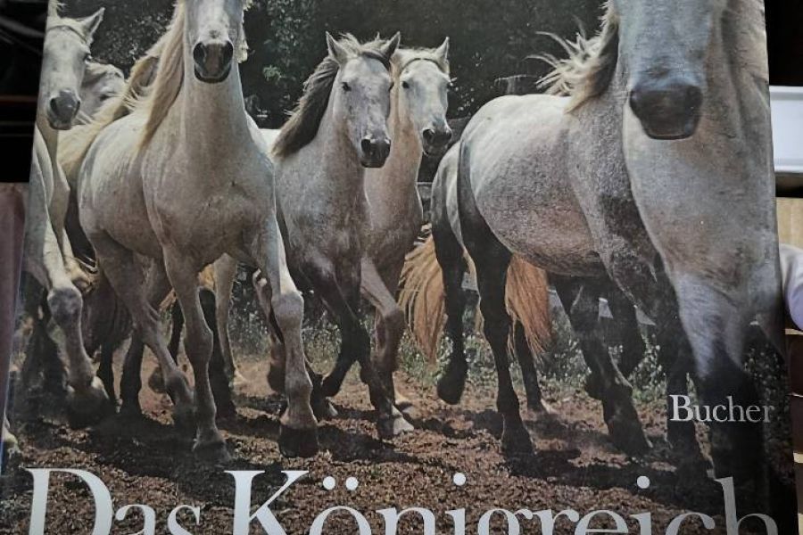 Bücher: Das Königreich des Pferdes + Die Spanische Reitschule zu Wien - Bild 2