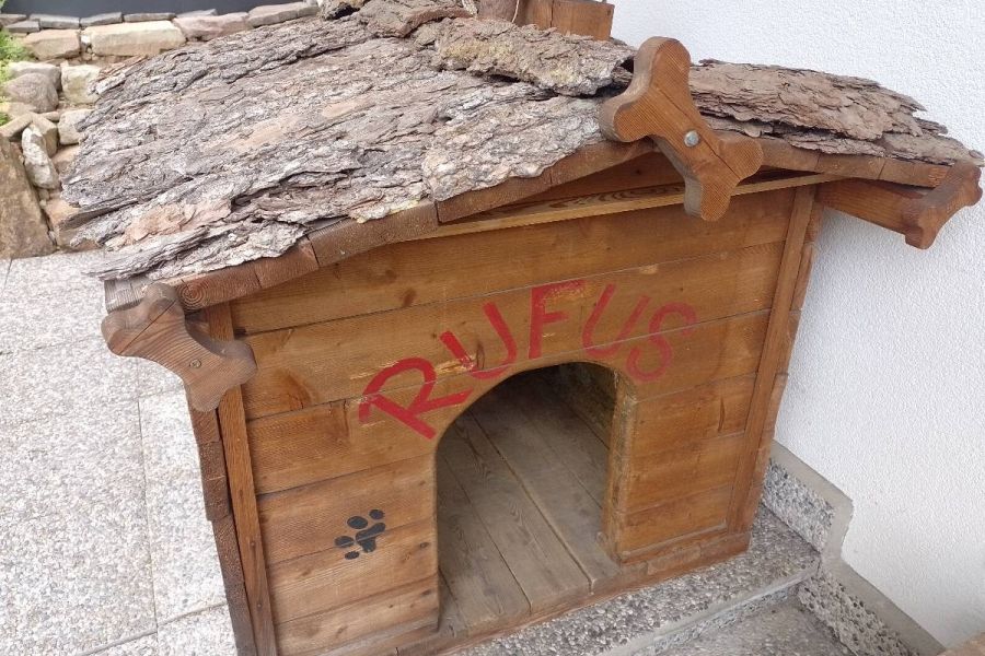 Hundehütte - Bild 2