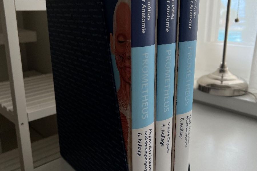 Prometheus Lernpaket Lernatlas der Anatomie (inkl. Lernpostern) - Bild 2