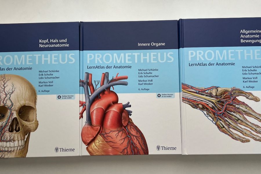 Prometheus Lernpaket Lernatlas der Anatomie (inkl. Lernpostern) - Bild 3
